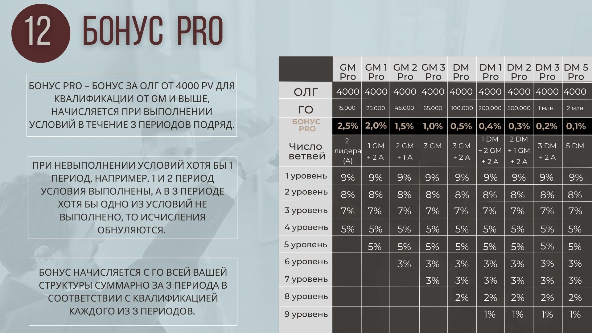 Схема начисления бонуса Pro
